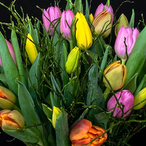 986 bloemenhof seizoensboeket tulpen 3